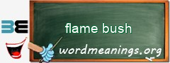 WordMeaning blackboard for flame bush